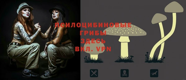амфетамин Белокуриха