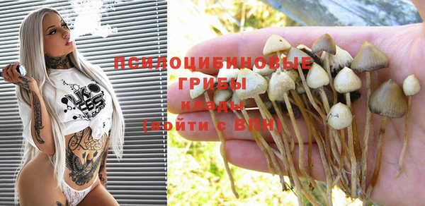 mdpv Белоозёрский