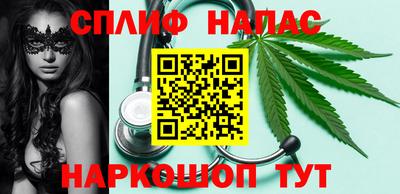 гашик Моздок