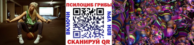 сколько стоит  mega ТОР  Псилоцибиновые грибы ЛСД  Славгород 