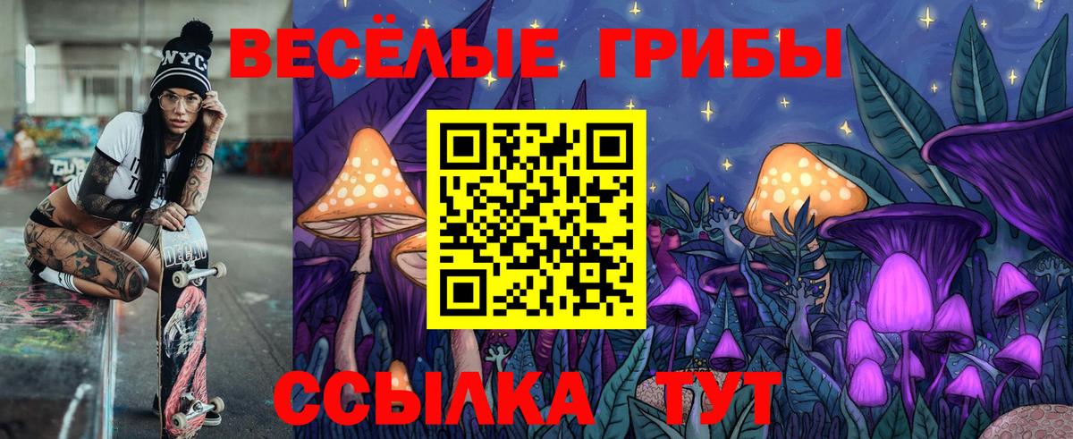 Галлюциногенные грибы прущие грибы Славгород